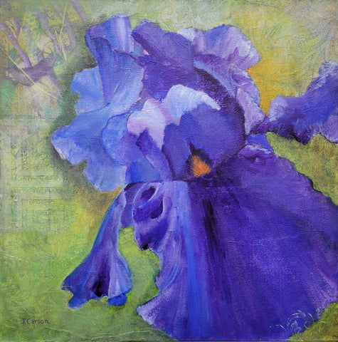 Dancing Iris by Ingrid Carson