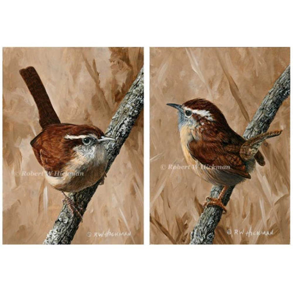 Carolina Wren Set by Robert Hickman