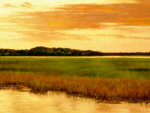 Edisto Island View by Michael Story