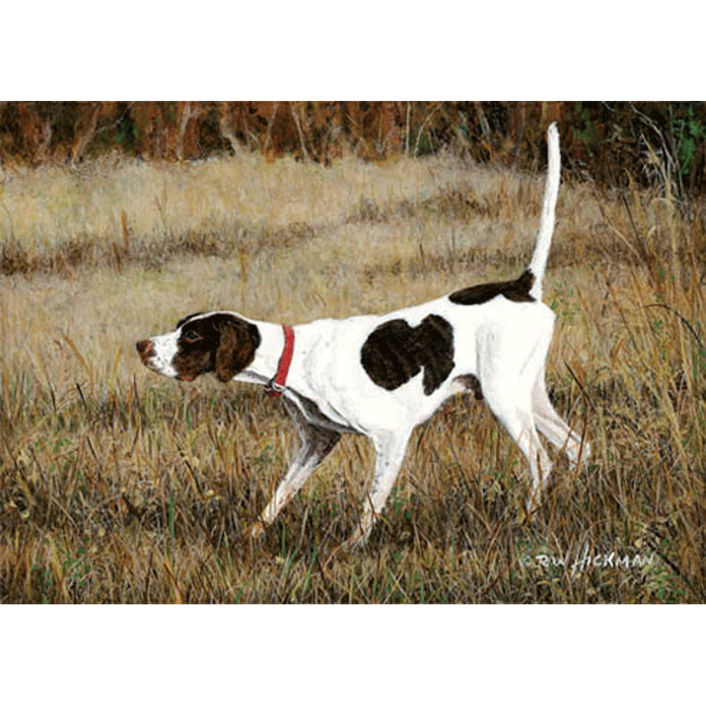 Elhew Pointer by Robert Hickman