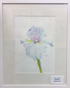 "White Iris" by Karen Larrabee