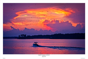 Lake Murray Purple Martin Sunset by Bill Barley