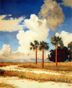 Palmetto Sky by Michael Story